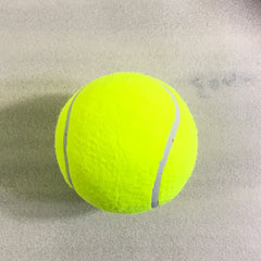 Tennis Big Puppy Dog Size Tennis