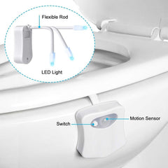 Toilet Night Light 